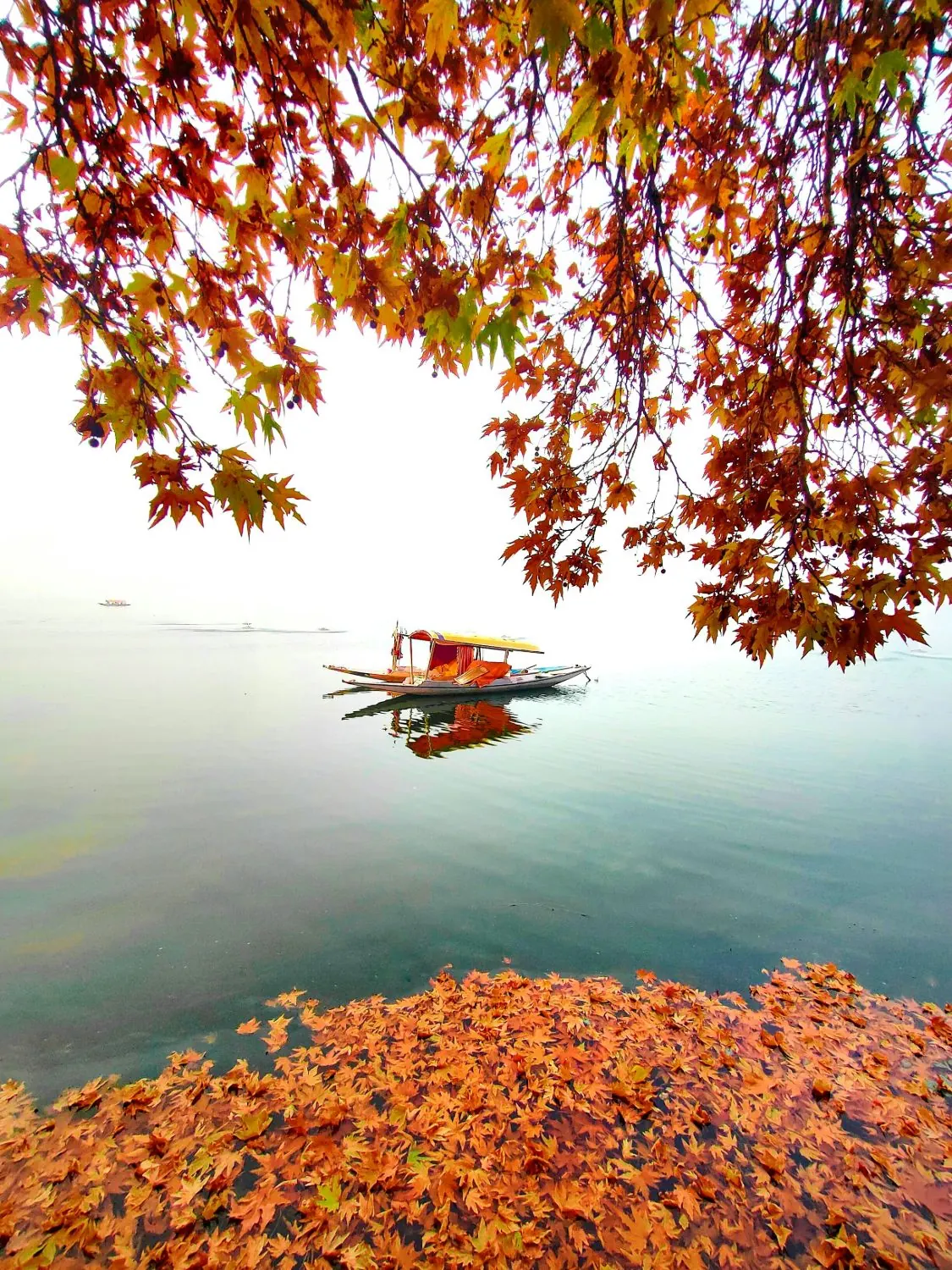 Best Time to Visit Kashmir: A Season-by-Season Guide