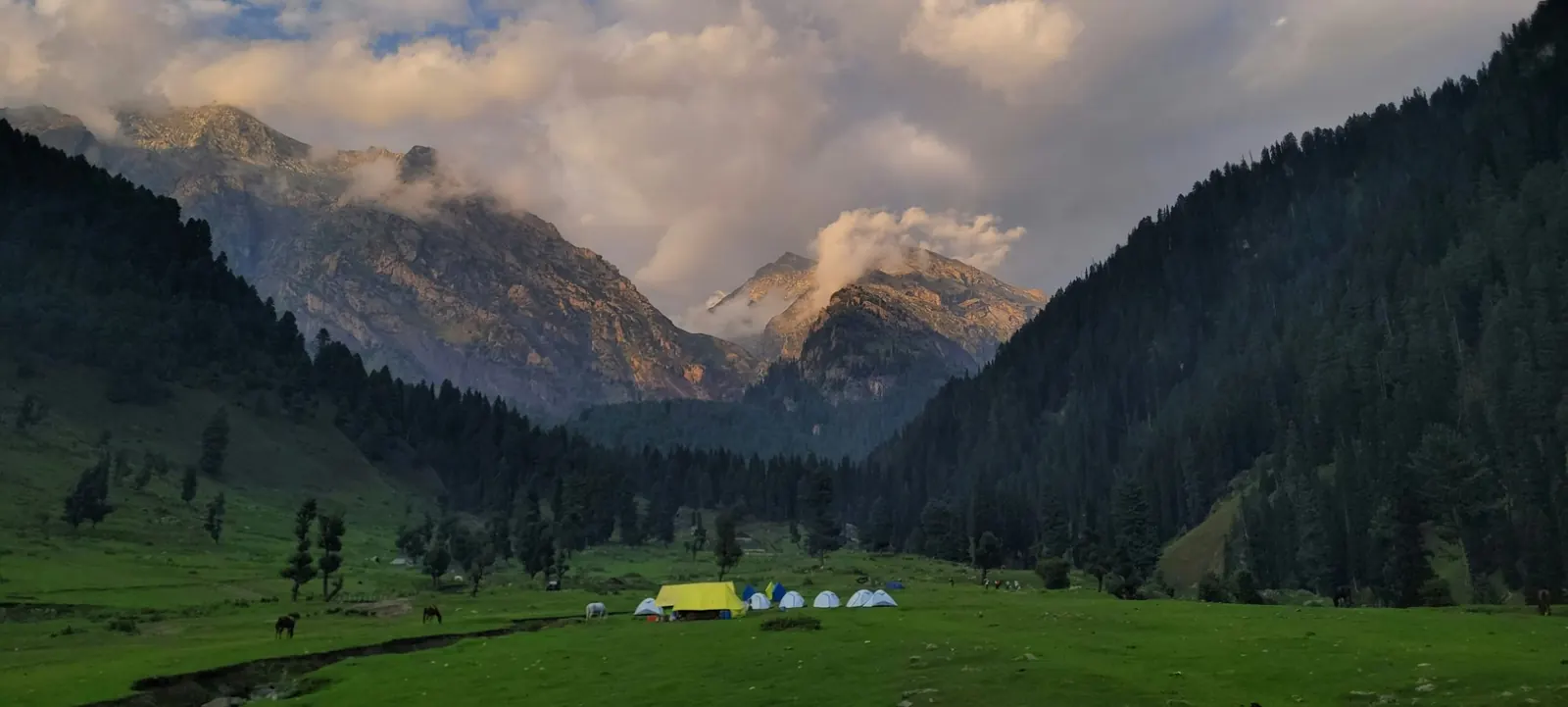 Trekking tents in a green alpine meadow below the mountains, Kashmir