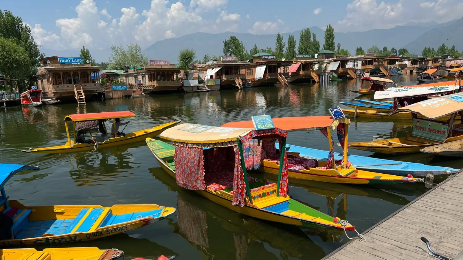 Colourful shikaras waiting beside houseboats on Dal Lake, Srinagar