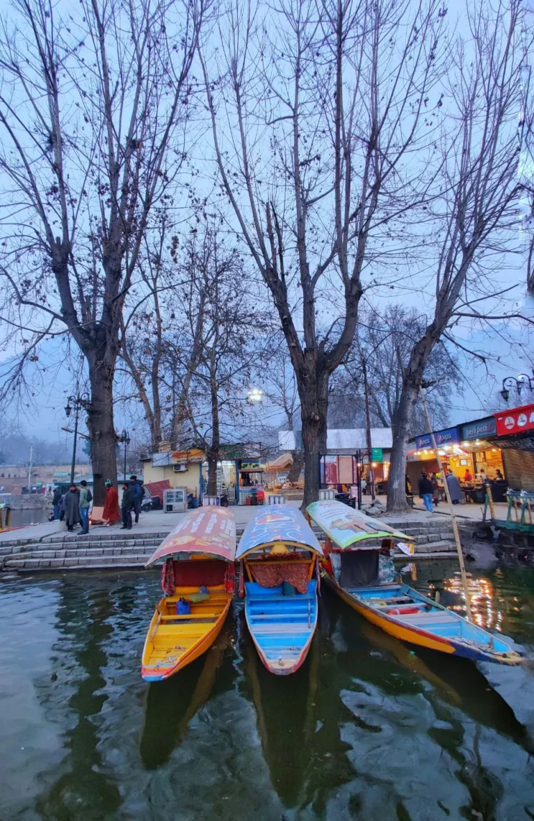 Three shikaras at a Dal Lake ghat on a winter evening, Srinagar