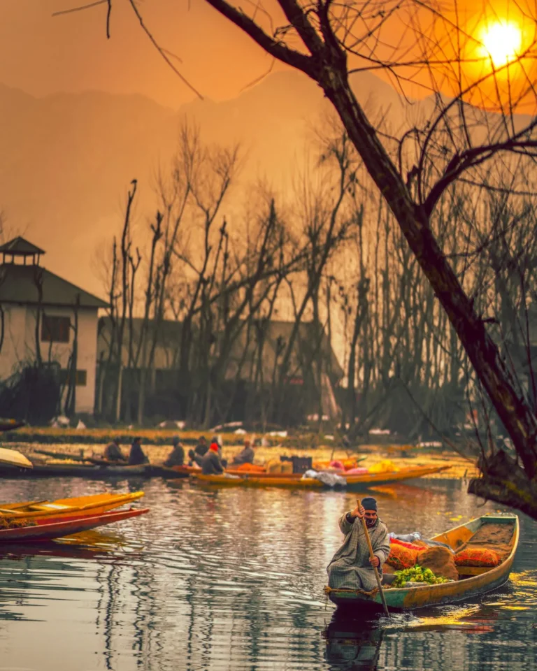 Vegetable seller rowing to the floating market on Dal Lake at sunrise