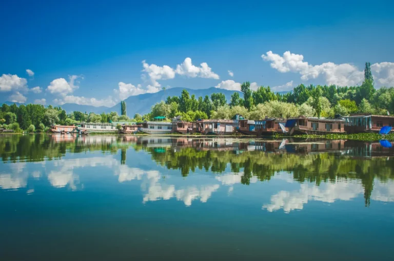 Houseboats and poplars reflected in the still water of Dal Lake