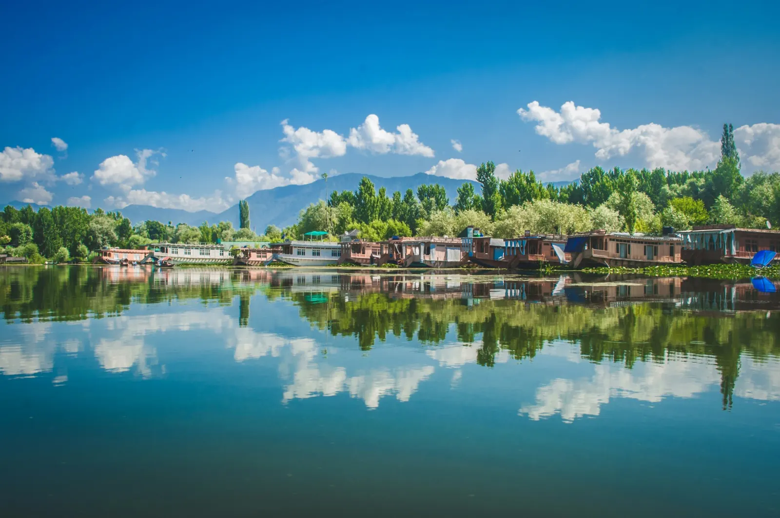 How to Choose the Best Kashmir Tour Package (and a Good Travel Agency)