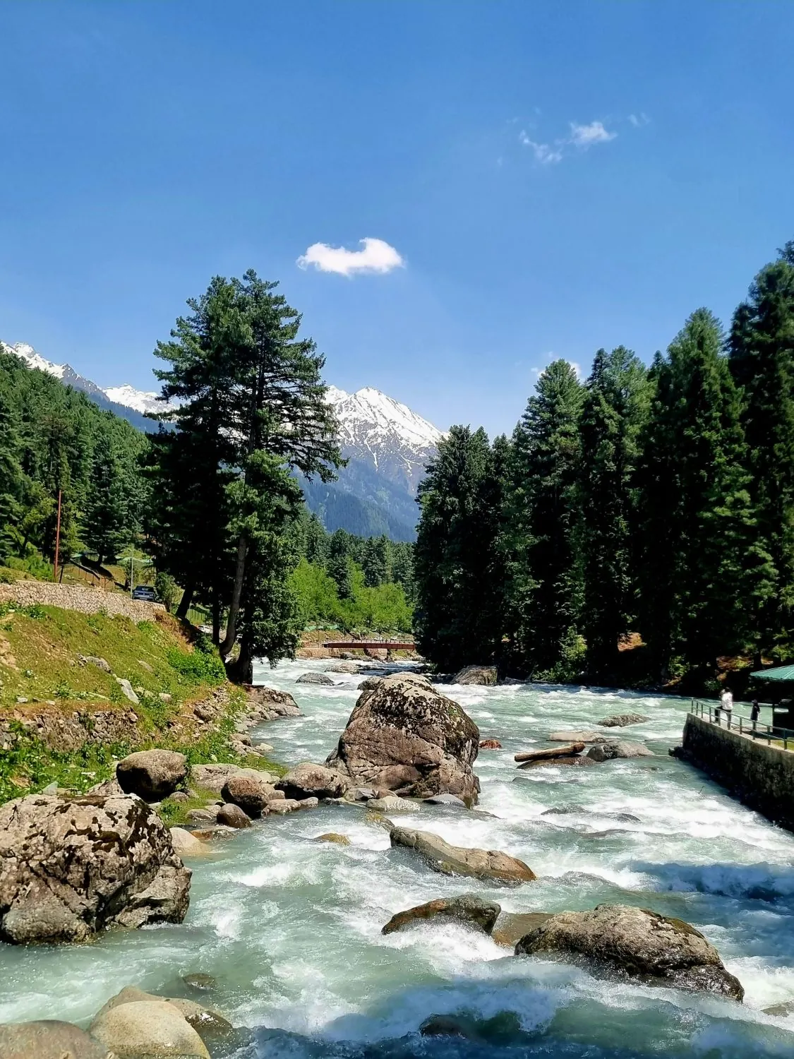 Lidder River rushing between pine forests below snowy peaks, Pahalgam