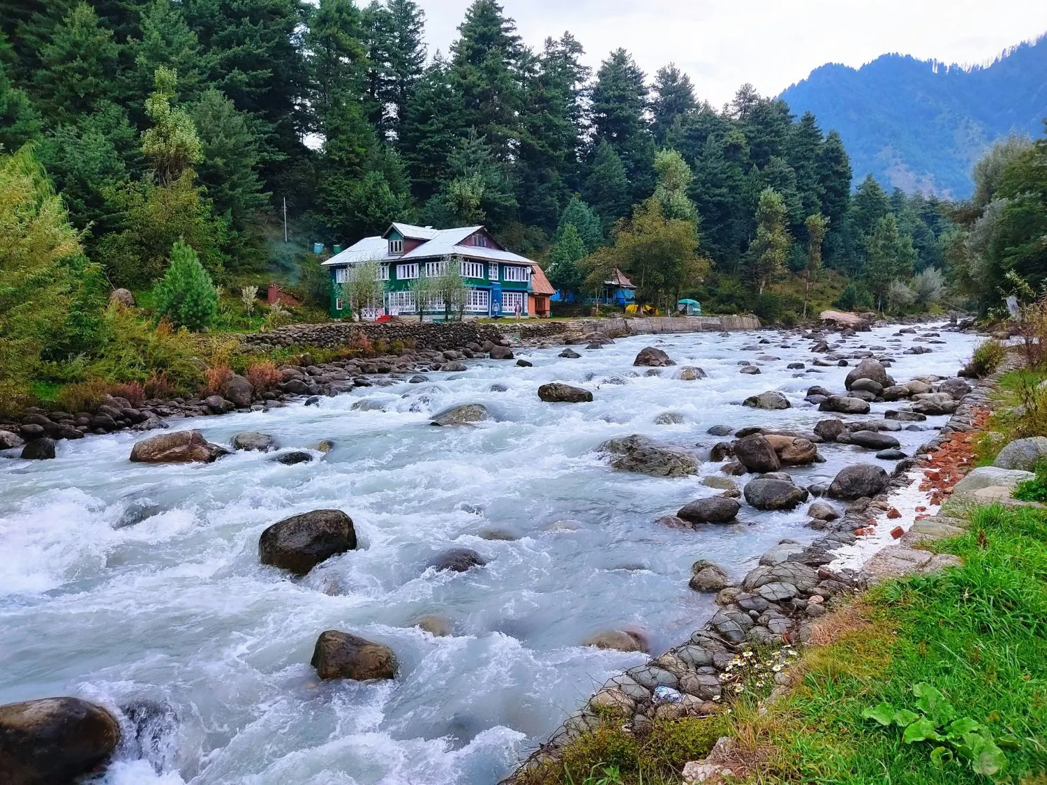 Lidder River rushing past a riverside house and pine forest, Pahalgam