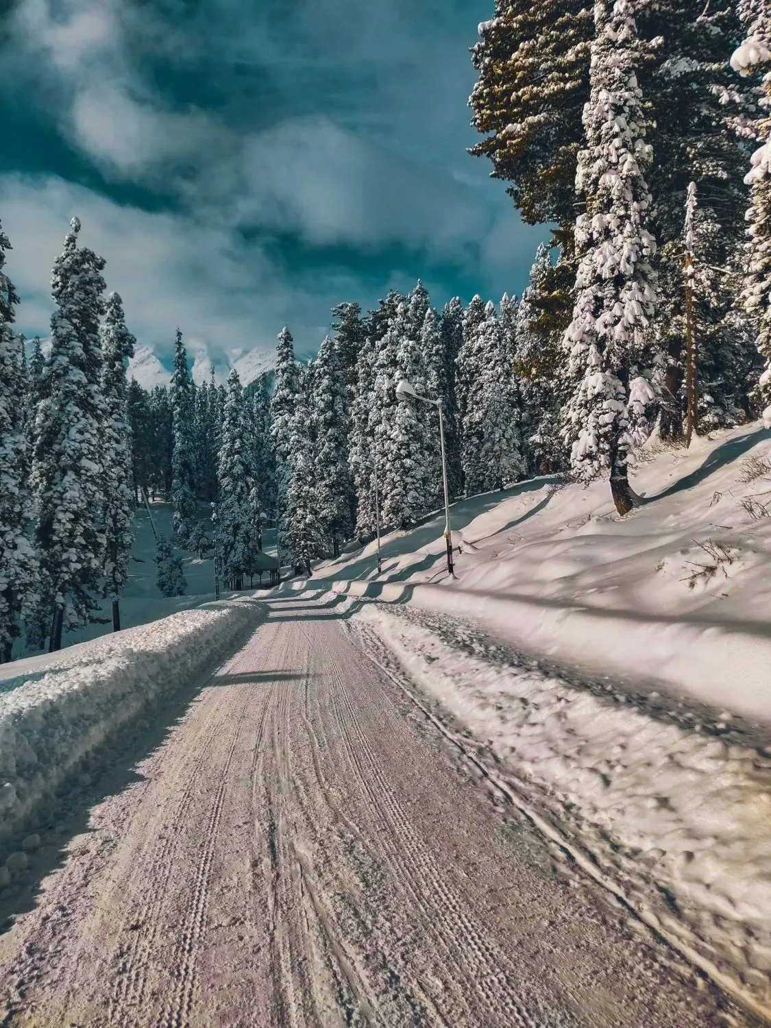 Snow-lined road through pine trees in Gulmarg after fresh snowfall