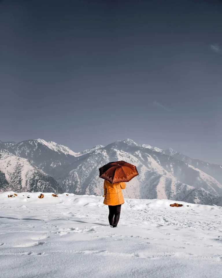Traveller with an umbrella in fresh snow facing the mountains, Kashmir